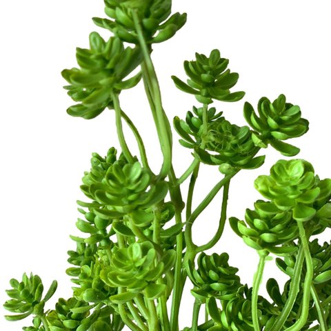 6 Plantas Suculenta Sedum Artificial Volumosa para Arranjos e Paisagismo