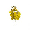 Ver imagem 1 de Haste Orquídea C\ 6 Flores Amarelo - Villaggio Das Flores
