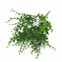 Ver imagem 1 de Kit 10 Galhos Folhagem Eucalipto Capim Verde 35cm Realista