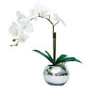 Ver imagem 1 de Arranjo Flores 1 Orquídea Branca Toque Real Vaso Prata