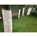 Ver imagem 6 de Grama Sintética 20mm (2x7= 14m2) Soft Garden Artificial