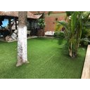Ver imagem 3 de Grama Sintética 20mm (2x7= 14m2) Soft Garden Artificial