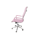 Ver imagem 2 de D821-4b-i - Cadeira Esteirinha Presidente Rosa - D821-4b-i Bering