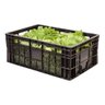 Kit 10 Caixas Plásticas Hortifruti 50 Litros - 2