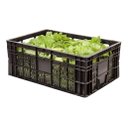 Ver imagem 2 de Kit 10 Caixas Plásticas Hortifruti 50 Litros