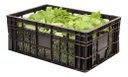 Ver imagem 2 de Kit 10 Caixas Plásticas Hortifruti 50 Litros
