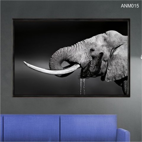 Quadro Decorativo - Elefante Agua Preto e Branco Anm015 Tela Canvas - 60x40cm