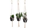 Ver imagem 1 de Suporte Plantas Macramê Trio Cor Cru