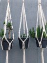 Ver imagem 2 de Suporte Plantas Macramê Trio Cor Cru
