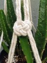 Ver imagem 4 de Suporte Plantas Macramê Trio Cor Cru