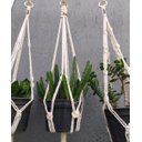 Ver imagem 3 de Suporte Plantas Macramê Trio Cor Cru