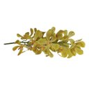 Ver imagem 4 de Haste de Flor Artificial Orquídea Vanda Amarela 85 Cm