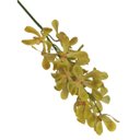 Ver imagem 7 de Haste de Flor Artificial Orquídea Vanda Amarela 85 Cm