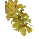 Ver mais imagens de Haste de Flor Artificial Orquídea Vanda Amarela 85 Cm