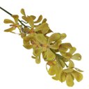 Ver imagem 6 de Haste de Flor Artificial Orquídea Vanda Amarela 85 Cm