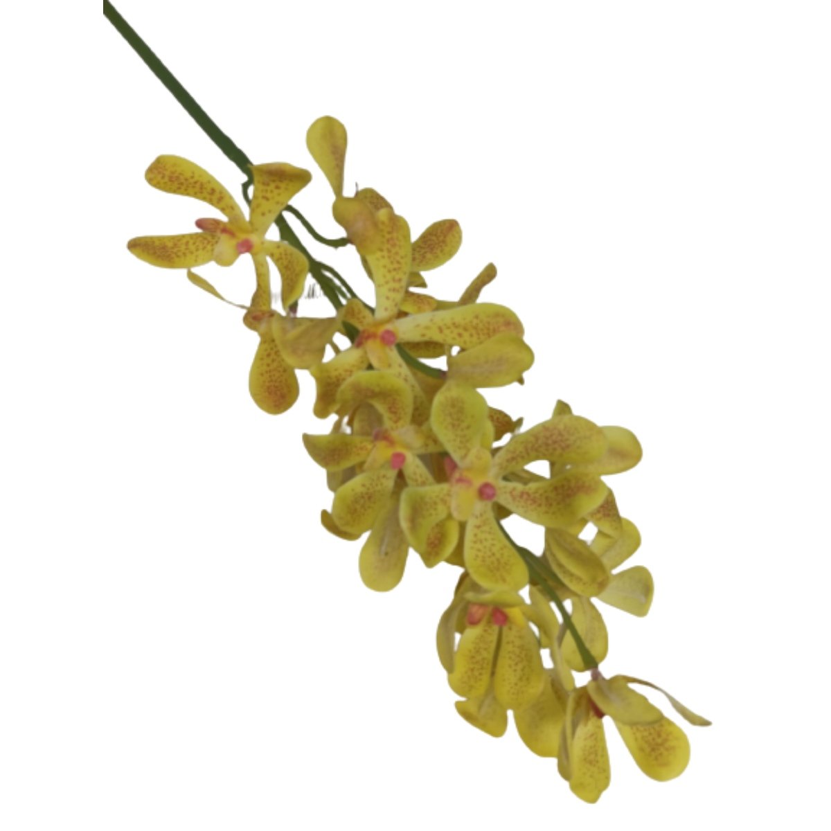 Haste De Flor Artificial Orquídea Vanda Amarela 85 Cm - 7