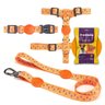Conjunto Guia + Coleira + Peitoral Laranja Gota - Prediletta - M - 1