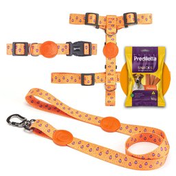 Conjunto Guia + Coleira + Peitoral Laranja Gota - Prediletta - M - 2