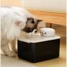 Bebedouro Fonte de Agua Gato Pet Cao Felino Cachorro Animal de Estimaçao 2 Modos Sensor de Presença  - 13