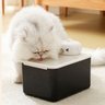 Bebedouro Fonte de Agua Gato Pet Cao Felino Cachorro Animal de Estimaçao 2 Modos Sensor de Presença  - 3