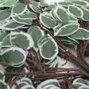 Ver imagem 3 de 12 Ramos Decoração Arranjo Ficus Artificial Planta Decorativa Plástico 14 Galhos Cada 55cm