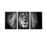 Conjunto Kit 3 Quadros Decorativos Leão Tema Preto e Branco Los Quadros - 1