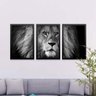Conjunto Kit 3 Quadros Decorativos Leão Tema Preto e Branco Los Quadros - 2