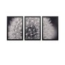 Conjunto Kit 3 Quadros Decorativos Dente de Leão Preto e Branco Los Quadros - 1