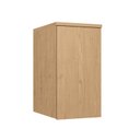 Ver imagem 1 de Guarda-Roupa Módulo Aéreo 1 Porta Elegance Marrom/Angelin
