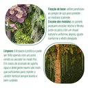 Ver imagem 6 de Jardim Vertical Permanente Outono 50cm x 50cm Formaco Decor Verde