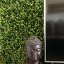 Ver mais imagens de Jardim Vertical Permanente Outono 50cm x 50cm Formaco Decor Verde