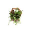 Ver imagem 1 de Nicho Colmeia Tropical