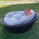 Ver imagem 5 de Chaise Nova Delhi para Pet - Tecido