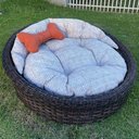 Ver imagem 4 de Chaise Nova Delhi para Pet - Tecido