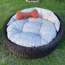 Ver imagem 6 de Chaise Nova Delhi para Pet - Tecido