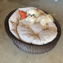 Ver imagem 7 de Chaise Nova Delhi para Pet - Tecido