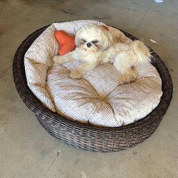 Chaise Nova Delhi para Pet - Tecido - 7