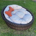 Ver imagem 1 de Chaise Nova Delhi para Pet - Tecido