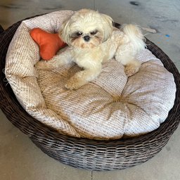 Chaise Nova Delhi para Pet - Tecido - 2