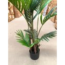 Ver imagem 4 de Planta Artificial Arvore Palmeira Real Toque com 1.20m