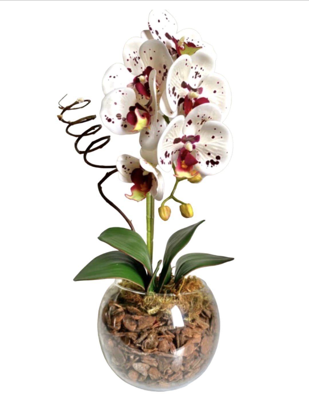 Arranjo Centro de Mesa de Orquídea Branca 3d Branco Vaso de Vidro M - Zent Future - 1