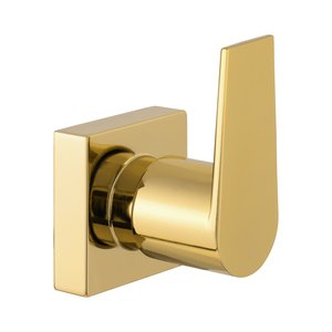 Acabamento para Registro Banheiro Alavanca Quadrado Dourado Brilhante Padrão Deca