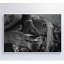 Ver imagem 6 de Quadro Índio Preparando Mandioca na Amazônia - 120x80 Cm - Vidro Impresso