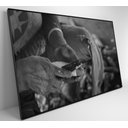 Ver mais imagens de Quadro Índio Preparando Mandioca na Amazônia - 120x80 Cm - Vidro Impresso