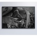 Ver imagem 7 de Quadro Índio Preparando Mandioca na Amazônia - 120x80 Cm - Vidro Impresso