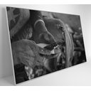 Ver imagem 3 de Quadro Índio Preparando Mandioca na Amazônia - 120x80 Cm - Vidro Impresso