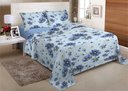 Ver imagem 1 de Jogo de Cama Casal 3 Peças (138) com Elastico 70% Algodao 30% Poliester - Encanto:13
