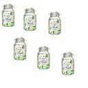 Ver imagem 4 de Kit 6 Potes de Vidro Hermético Original FIDO Terrina 3000 ml Ø 13,5 mm Multiuso Original Bormioli Ro