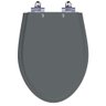 Assento Sanitário Laqueado Soft Close Absolute Cinza Quartzo (cinza Escuro) para Vaso Ideal - 1