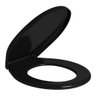 Assento Plástico Izy/ravena/studio/targa Ébano - Ap.01.95 - 2